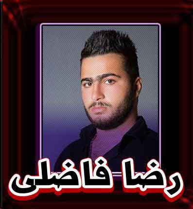 رضا فاضلی