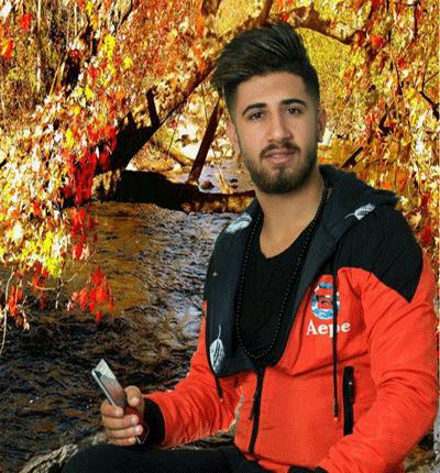آهنگ تنی دیوانمه عاشق تمه از علی حمیدی