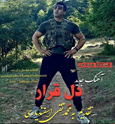 آهنگ دل قرار از جواد نکایی
