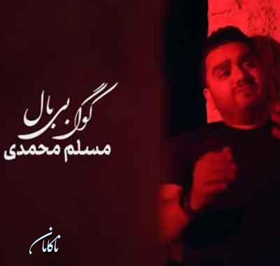 آهنگ غرورم کوگ بی بال مسلم محمدی