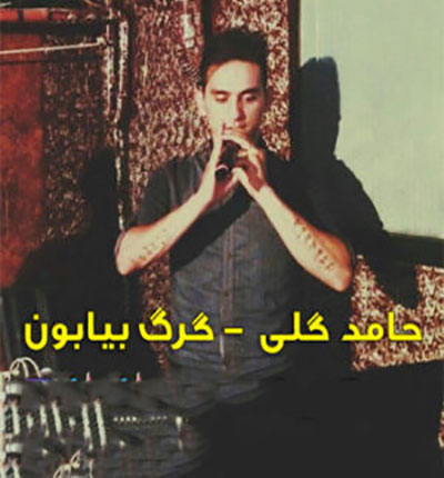حامد-گلی