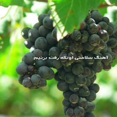 آهنگ سلامتی اونکه رفت بزنیم