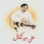 علی میرشکال (2)