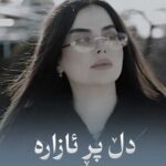 ژینا سقزی